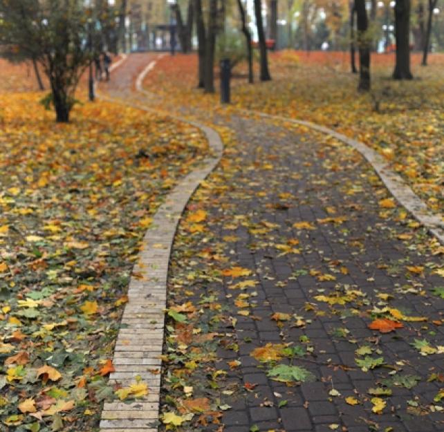 Living with a Traumatic Brain Injury