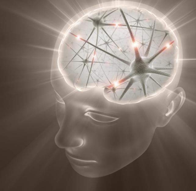 The Dynamics of a Closed Head Injury