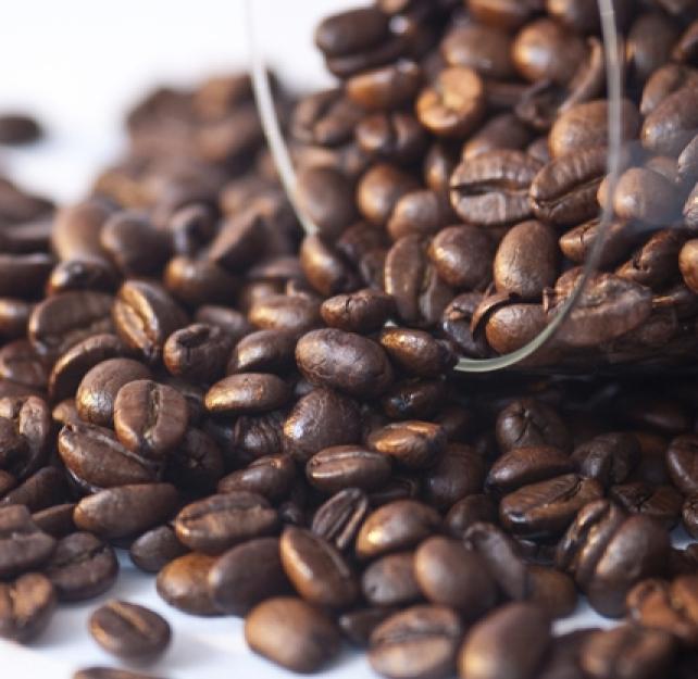 Anosmia or Loss of Smell from Brain Injury