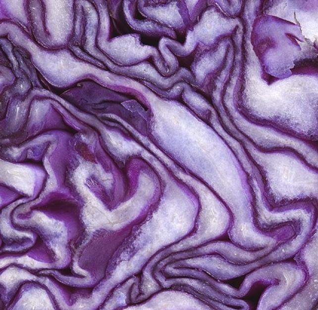 Feed Your Body, Feed Your Brain: Nutritional Tips to Speed Recovery