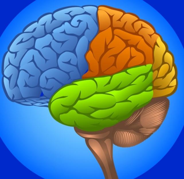 Early Neuropsych Evaluation Helps Formulate Rehab Plan