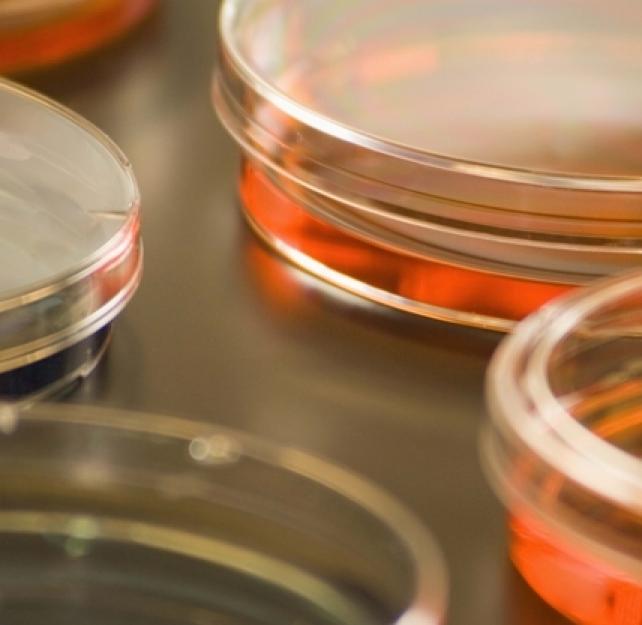 Eight Key Questions to Ask About Clinical Trials