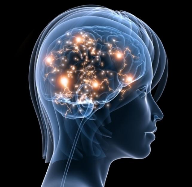 Making a Difference #2: Basic Brain