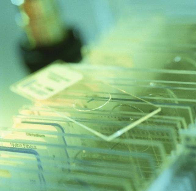 What Is Tau and Its Role in Chronic Traumatic Encephalopathy?