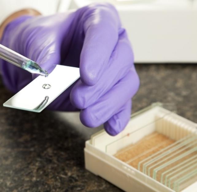 Pathology: Still the Most Useful Technique for Studying Diseased Brains