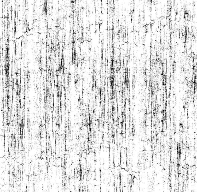 Brain Injury, PTSD, and Behavior