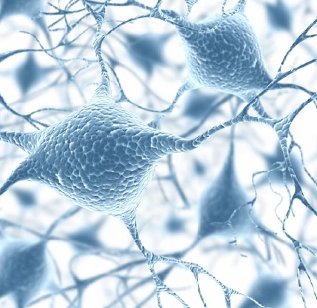 Cascade Effect of Single Axon Loss