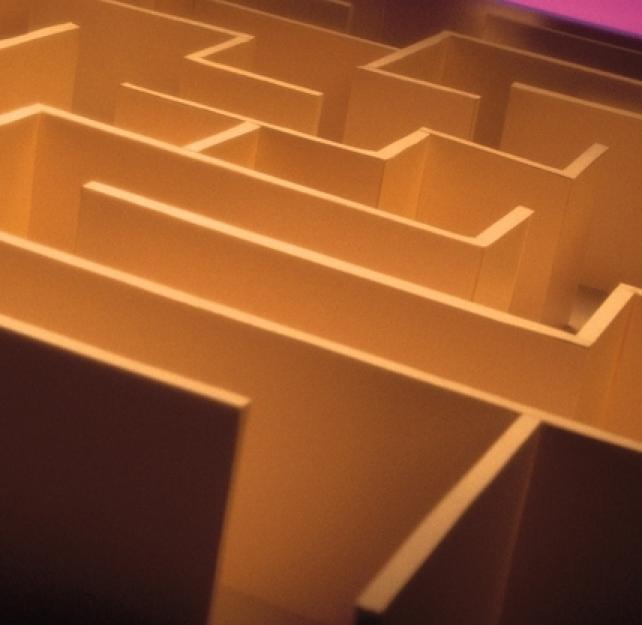 Options for Rehab After a Brain Injury