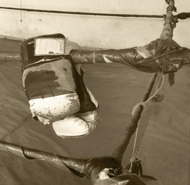 Concussions in Boxing and Other Contact Sports