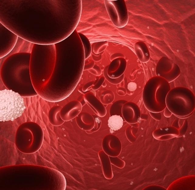 Importance of Thinking Beyond Scientific Tenets