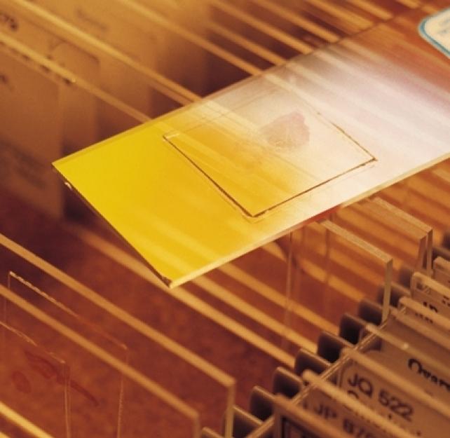 The Implications of Recent Research on the Brain