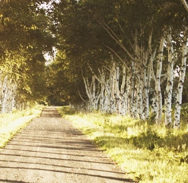 Recovery from Brain Injury Occurs for the Rest of a Person's Life