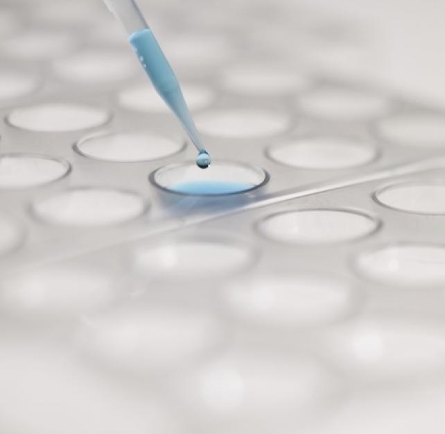 Pushing the Boulder of Brain Injury Research