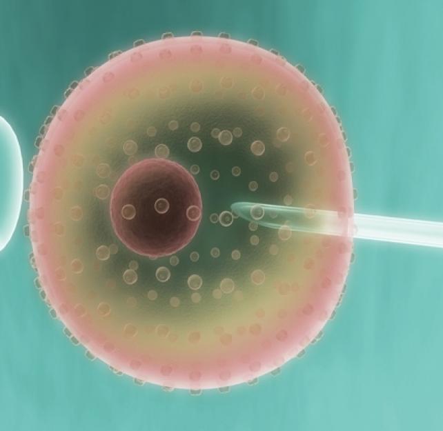 Stem Cell Transplant Versus Drug Therapy for Severe TBI