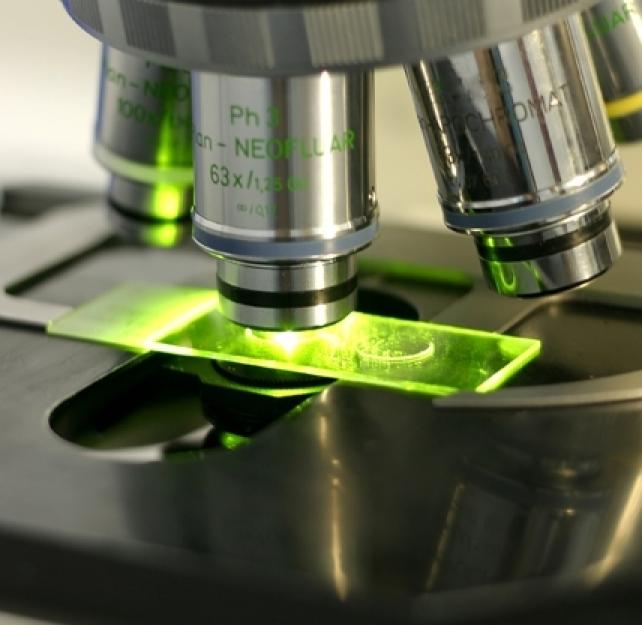 The Practical Applications of Stem Cell Therapy After TBI