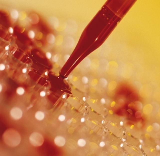 Traumatic Brain Injury: The Research Front