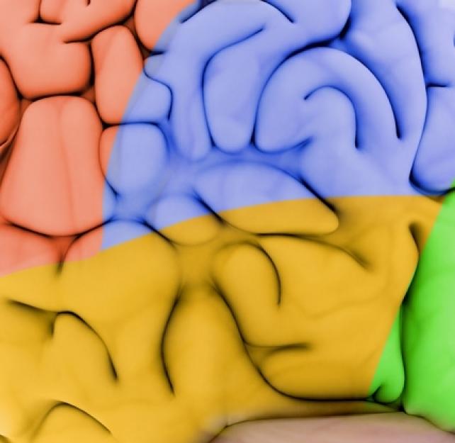 The Importance of "Showing" a Brain Injury