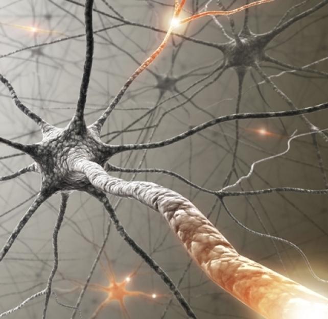 Dr. Jamshid Ghajar: Understanding the Nuances of Shearing Injuries in the Brain