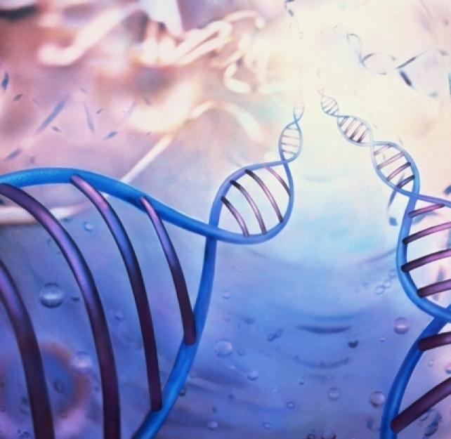 Dr. Stuart Hoffman: The Million Veterans Program