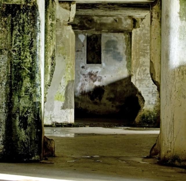 Frank Tortella, PhD: Breacher Training Study