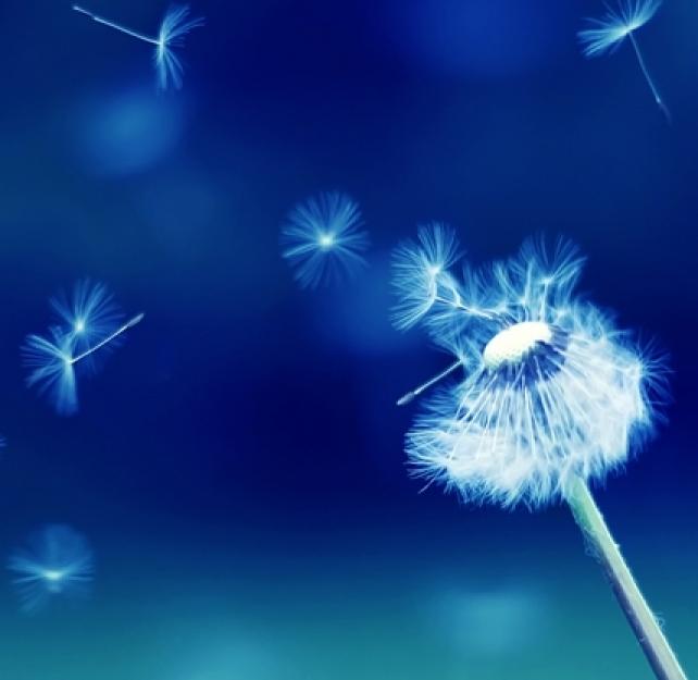 The Many Layers of Post-Traumatic Growth