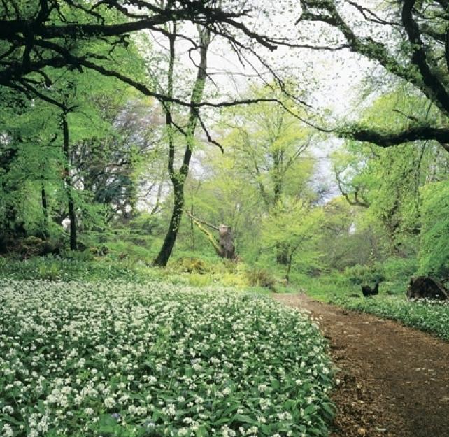 Derek McGinnis: A Long Beginning to a Long Road â€” from Combat to Recovery