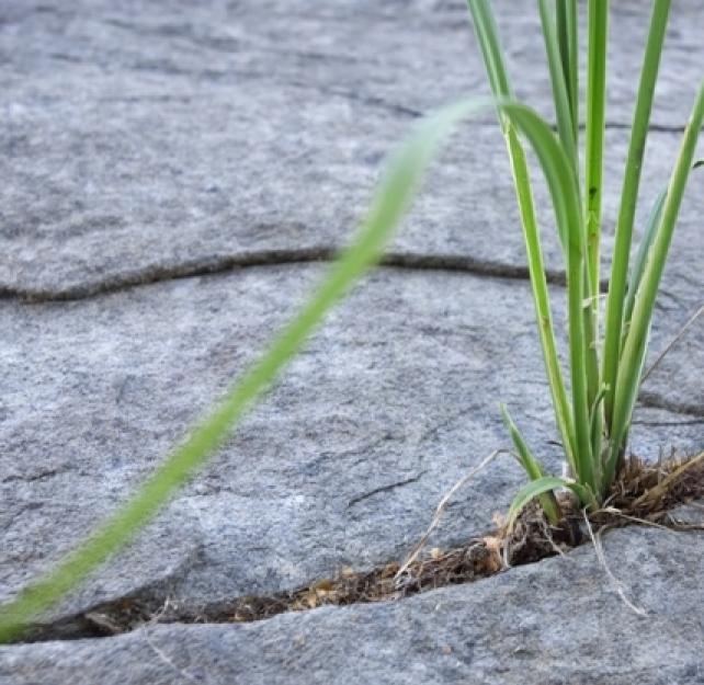 Derek McGinnis: Important to Build on Pre-Injury Strengths After a Combat-Related TBI