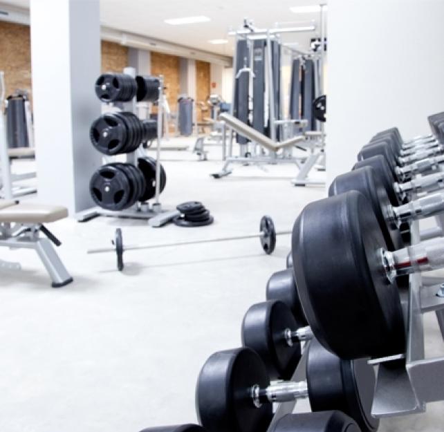 Katherine Sullivan: "Cross-Training" at the Brain Fitness Center