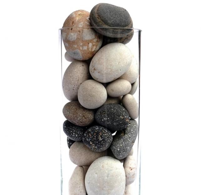 Treating Symptoms of TBI and Combat Stress Separately but Holistically