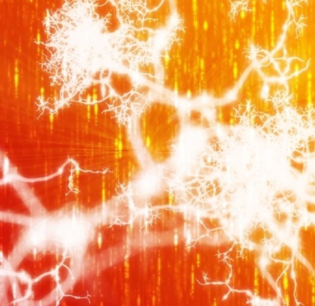 The MEG Shows Areas of the Brain "Talking" to Each Other