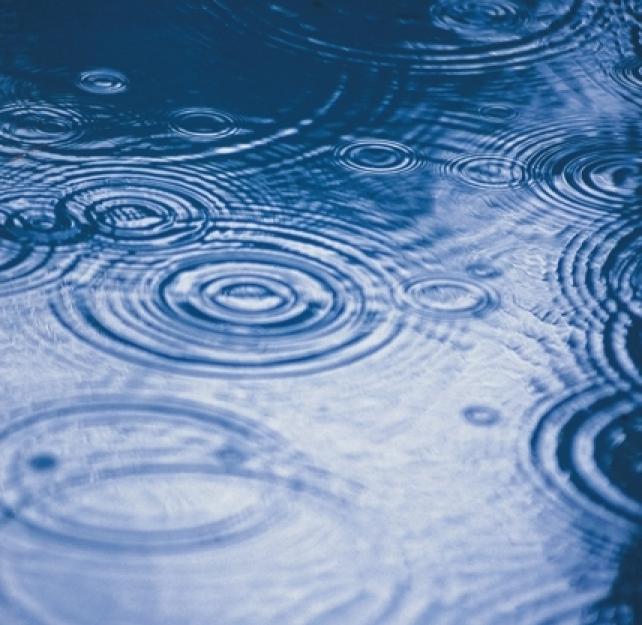 The Trickle-Down Effect of Making Sports Safer