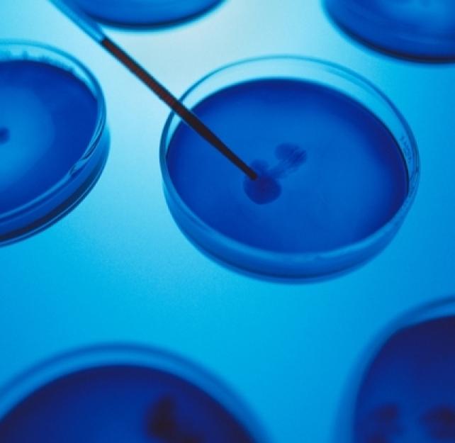 The Back Story of the Brain Injury Progesterone Study