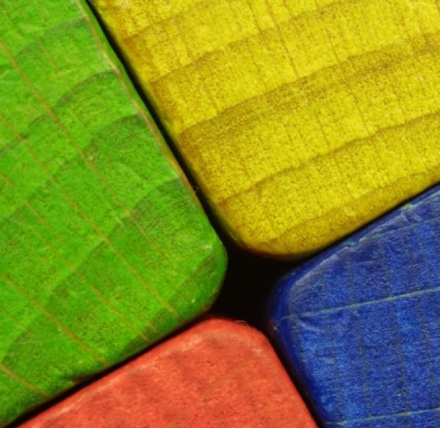 The "Whatever It Takes" Model for Brain Injury Recovery