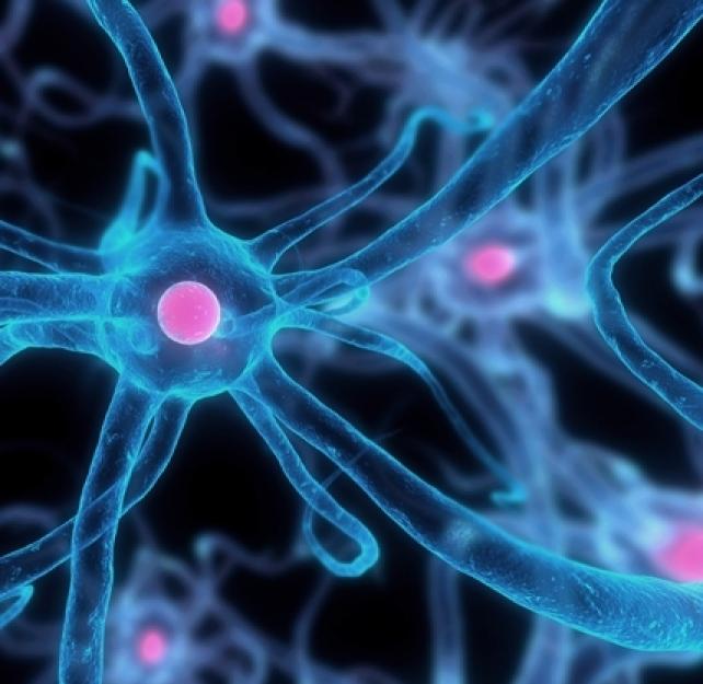 Almost a Perfect Storm: Therapy for TBI