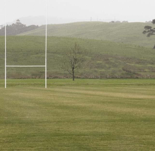 Second Impact Syndrome: Rest and Removal from Play