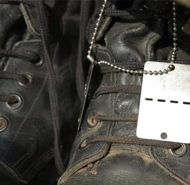 The "Faces" of TBI Research