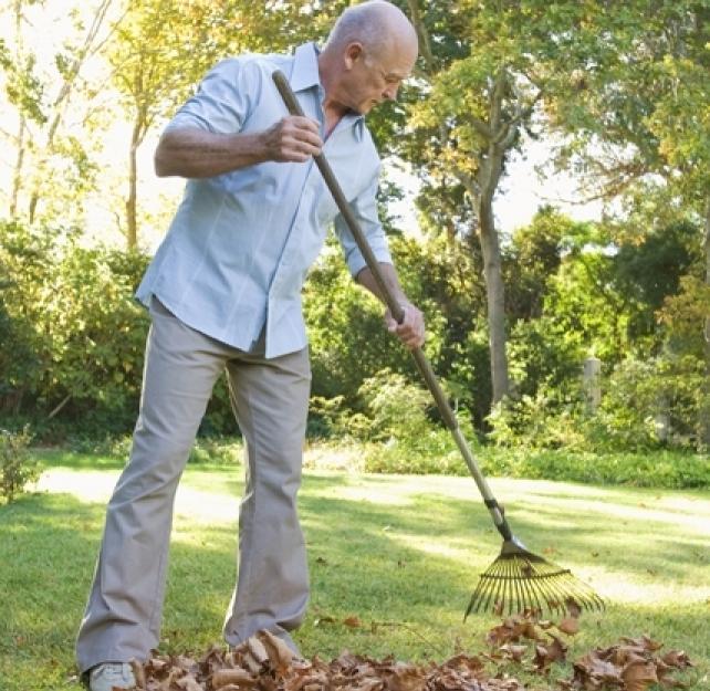 After Brain Injury: Focusing on the "Able" Not the "Dis" of "Disabled"