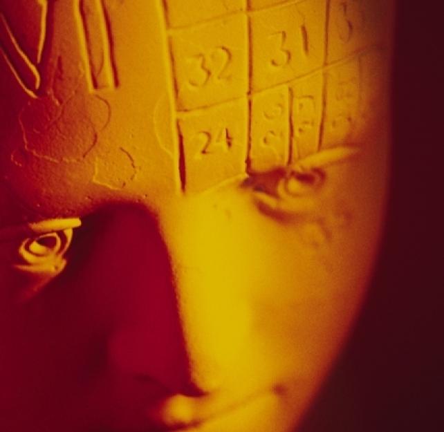 The Basic Architecture of the Brain