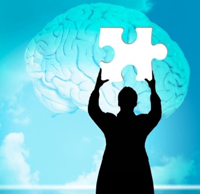 The Evolution of a Complex Brain