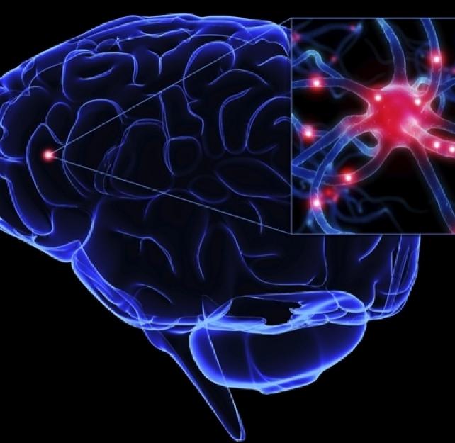 How Diffusion Spectral Imaging Shows the Brain's Architecture