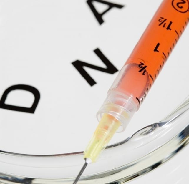 What the Future Might Hold for Treating Brain Injury