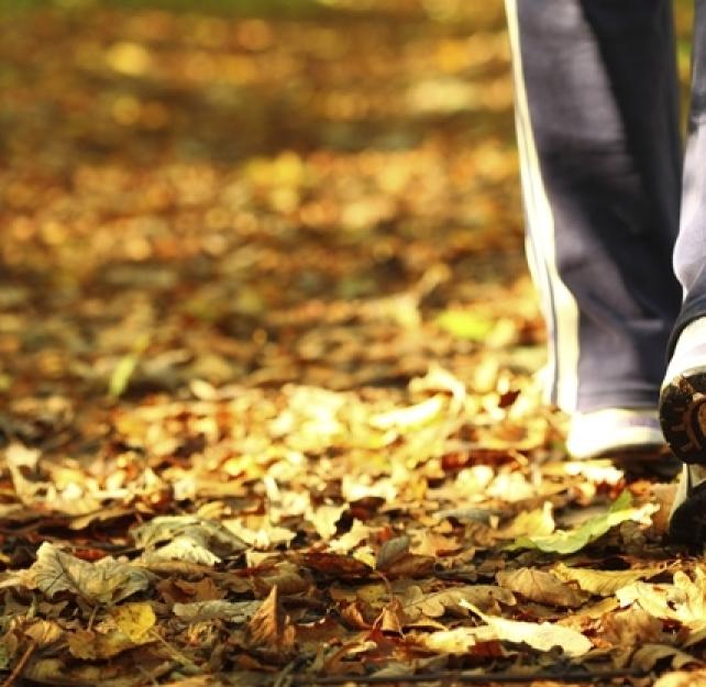 What Is Exposure Therapy and How Does It Work for TBI and PTSD?