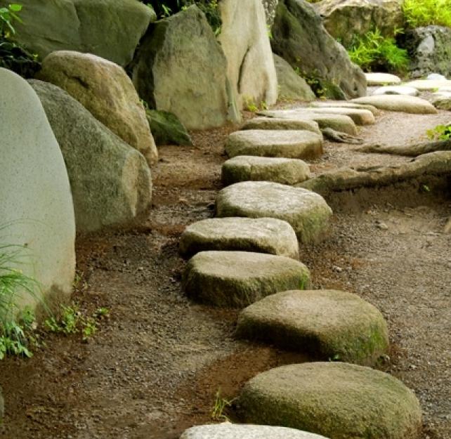 How Do You Set Goals in Occupational Therapy?