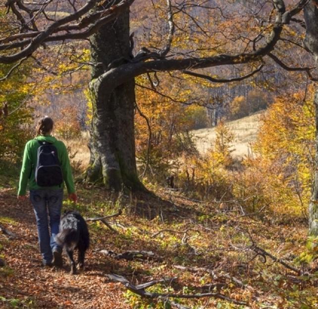 How Can Spirituality and Alternative Medicine Help in Treating Patients with TBI?