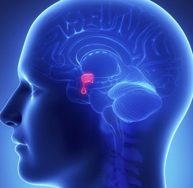 Can Symptoms of Hypopituitarism Present Years After a Brain Injury?