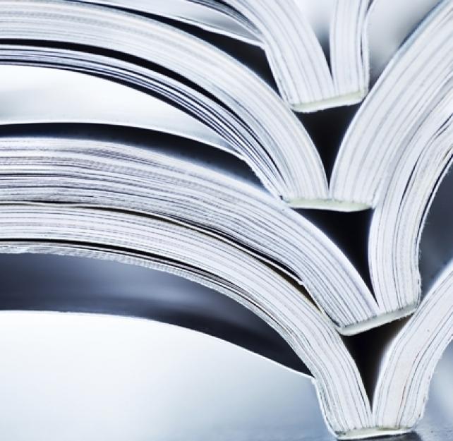 DVBICâ€™s 15-Year Longitudinal Study on Traumatic Brain Injury