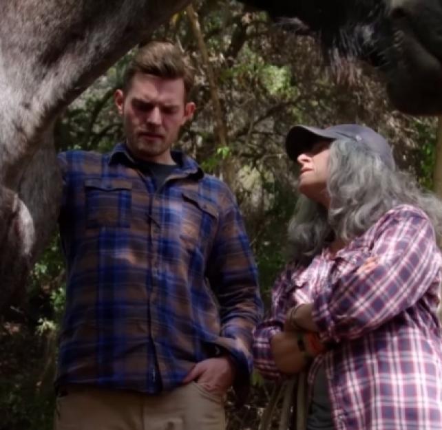 The War Comes Home: Equine Therapy