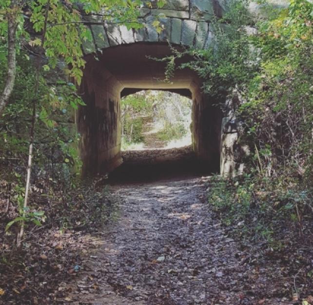 The Space of Your Grief