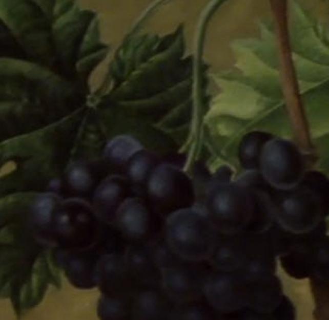 Artist Ginny Ruffner on Curiosity, Language, and the Brain