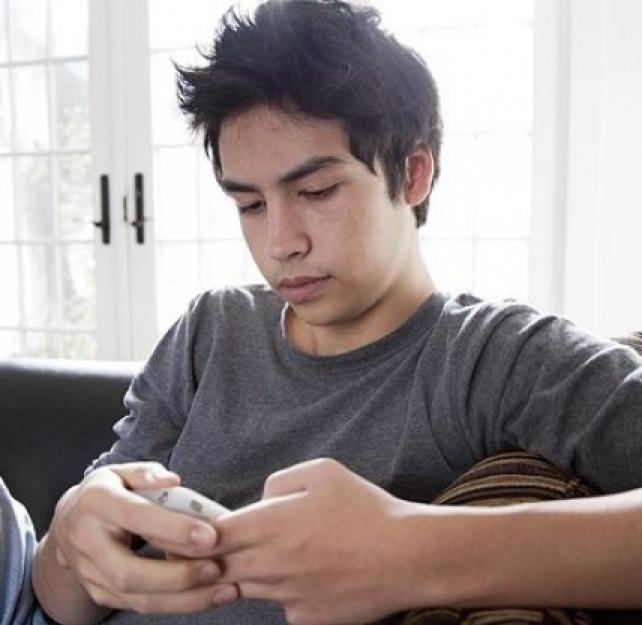 Blogs, Wikis, and Text Messaging: What are the Implications for Students with Learning Disabilities